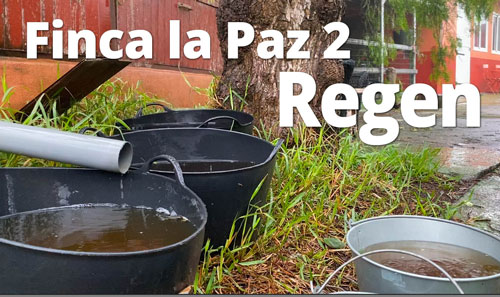 Finca La Paz 2 Regen