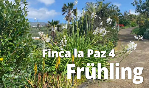 Finca La Paz 4 Fruehling