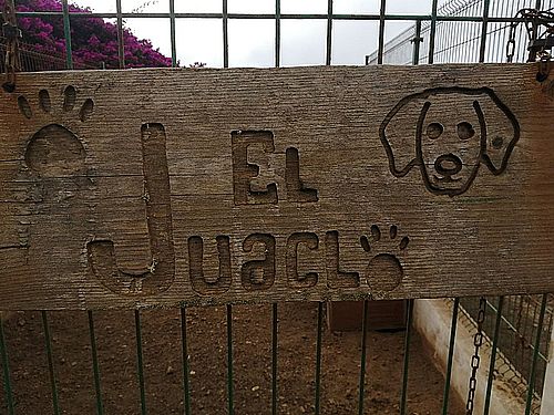 El Juaclo - ein Schutzort für Tiere