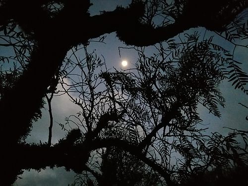 Vollmond