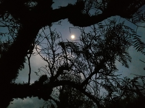 Vollmond